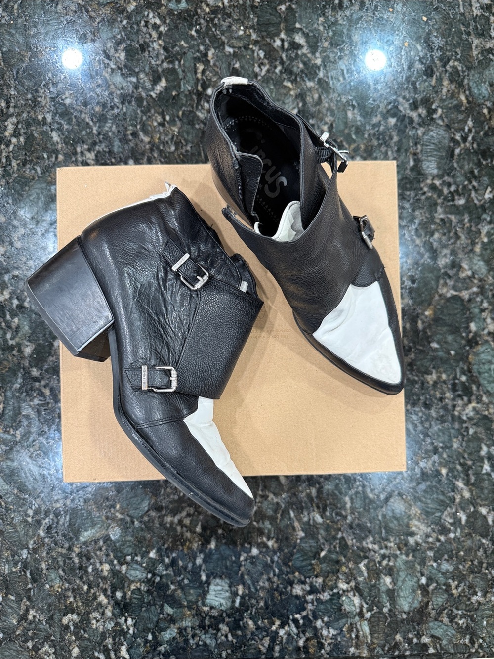 Circus by Sam Edelman Black and White Western-Inspired Ankle Booties